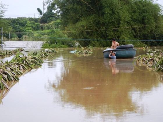 Bình Thuận: Lũ về đột ngột, người dân không kịp trở tay ảnh 4