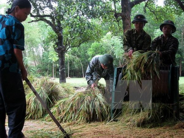 Lực lượng vũ trang Quảng Ngãi chung tay xóa đói, giảm nghèo