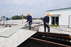 “Mái nhà sinh thái” vì môi trường