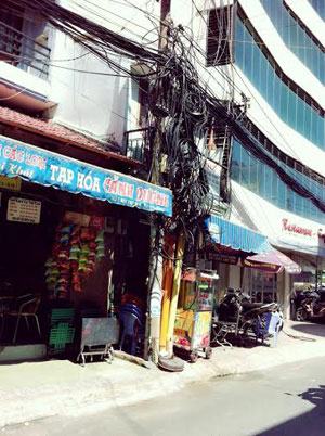 “Mạng nhện” thấy mà run!