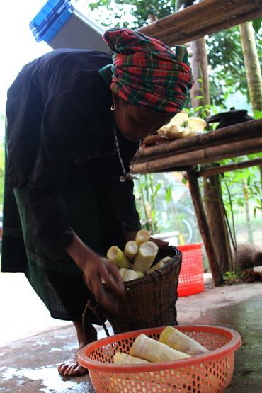 Măng nhiễm chất cấm