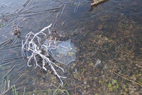 Mặt suối ở Lào Cai đóng băng vì giá rét