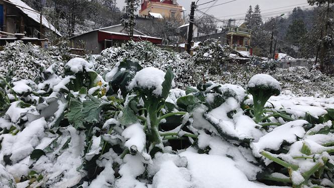 Mẫu Sơn rét 6 độ C, miền Bắc đón thêm không khí lạnh tăng cường