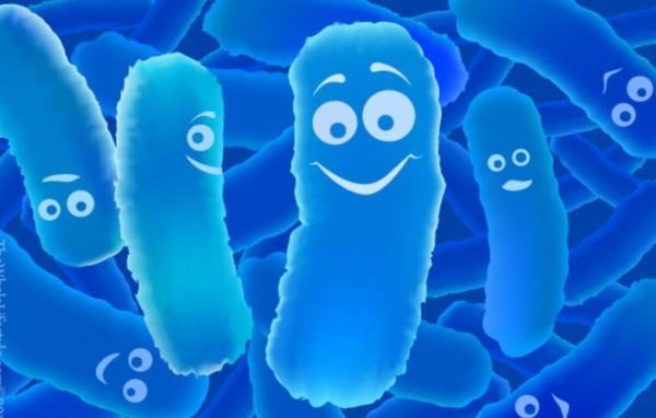 Thu hồi thuốc men vi sinh sống Biolac