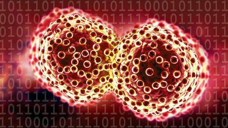 Những tế bào ung thư sẽ giống như virus máy tính.