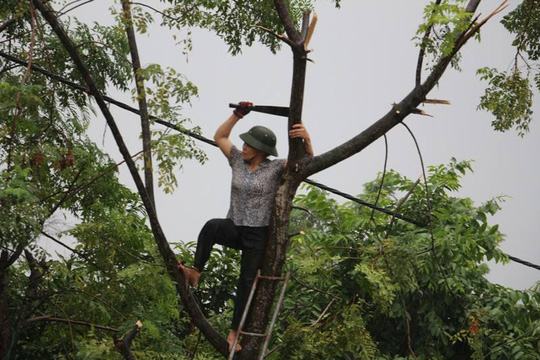 Miền Trung hối hả ứng phó siêu bão - Ảnh 12.