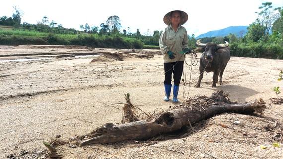 Bà Nguyễn Thị Tý (ở xã Kỳ Thượng, Kỳ Anh, Hà Tĩnh) trên diện tích đất ruộng đã bị đất đá, cát sỏi vùi lấp. Ảnh: DƯƠNG QUANG