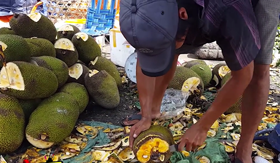 Cẩn trọng với mít “không đầu”