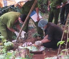 Một bé gái bị chôn sống dưới gốc cà phê