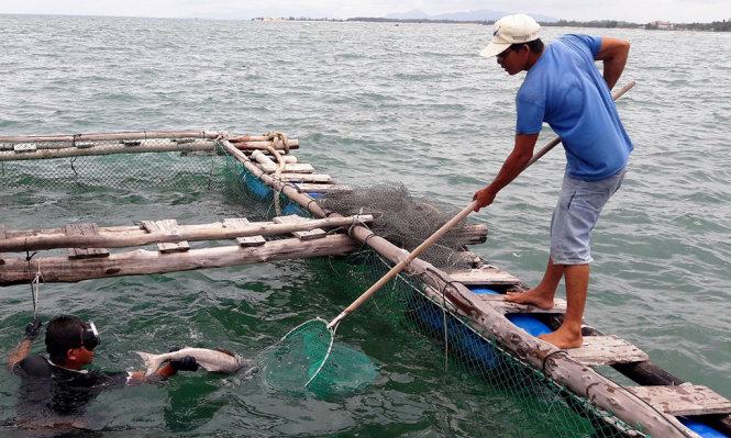 Một cơ sở xả thải ngầm ra biển tại hải đăng Kê Gà 