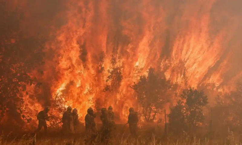 Một loạt nước châu Âu hứng chịu hỏa hoạn do nắng nóng