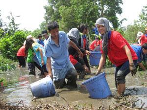 Một ngày làm… “Hai lúa”