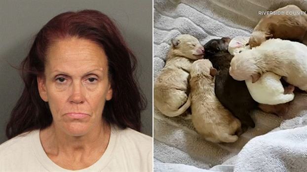 Mot phu nu bi ket an tu vi vut 7 cho con vao bai rac