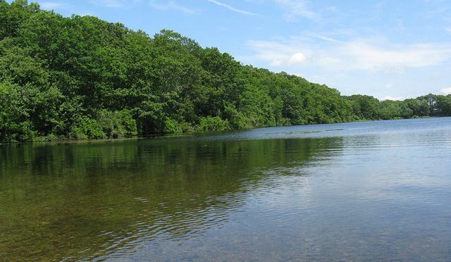 Một virút tự nhiên chống lại vi khuẩn kháng kháng sinh - Ảnh 1.