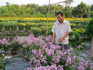 Mùa hoa Tết ở Phó Thọ – Bà Bộ