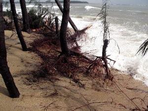 Mưa lũ tại Quảng Ngãi gây thiệt hại trên 68 tỷ đồng