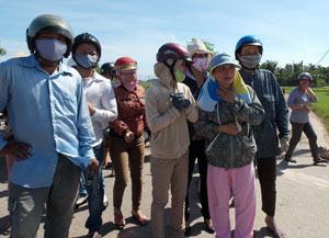 Mùa phượng buồn ở sân trường Hòa Phước