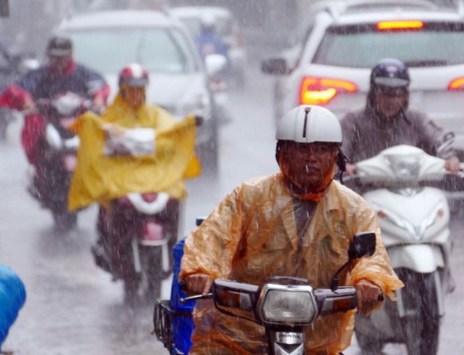 Mưa trái mùa ở Nam bộ đạt kỷ lục 253 mm