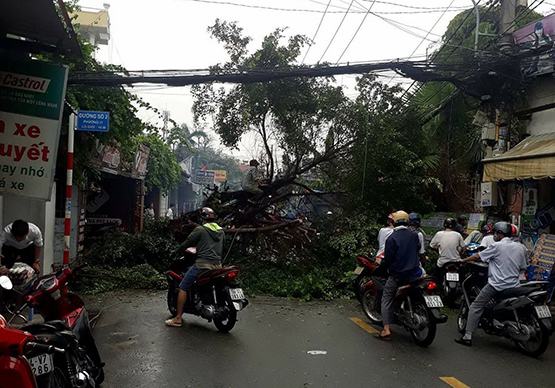 TP.HCM: Đề phòng mưa giông trong những ngày tới