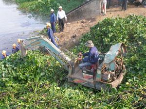 Muỗi bùng phát ở Bình Thạnh: Bao giờ chấm dứt?