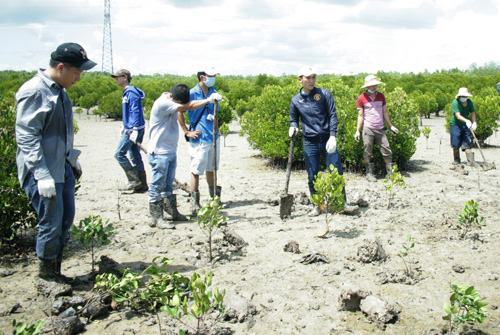 Năm 2016, TPHCM trồng được gần 1 triệu cây xanh