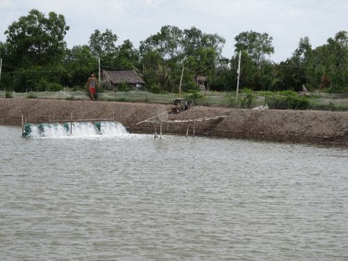 Năm 2100, mất 40% diện tích ĐBSCL