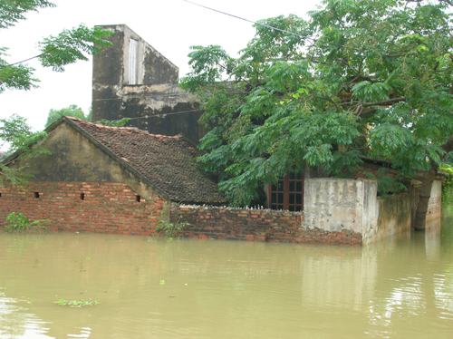 Năm nay, sẽ có 5-6 cơn bão đổ bộ vào đất liền