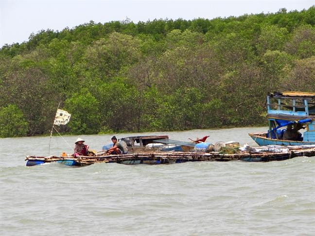 Ngăn biển chống ngập, Sài Gòn sẽ ra sao?