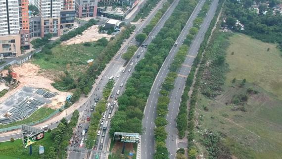 Cây xanh trồng trên đường tại TPHCM có tán không quá rộng và độ cao vừa phải  tránh trường hợp cây ngã đổ gây tai nạn (Ảnh cây xanh trên đường Mai Chí Thọ). Ảnh: CAO THĂNG