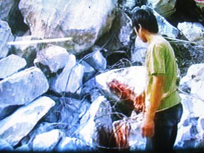 Nghệ An: Hai anh em bị một tảng đá đè chết