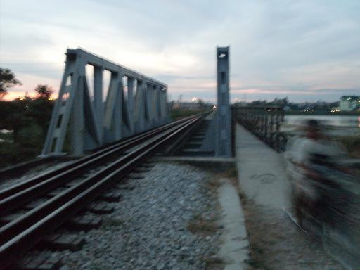 Nghệ An: Tàu húc trâu, trâu hất văng người xuống sông