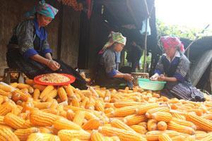 Nghèo đã giảm nhưng chưa vững