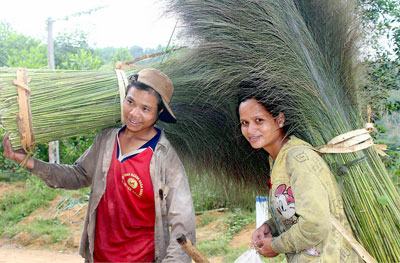 Nghỉ tết rồi… nghỉ học