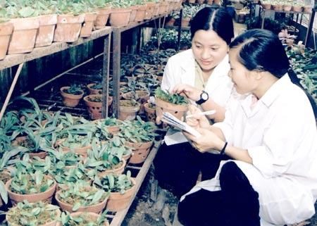 Nghiên cứu khoa học ngành nông – lâm – ngư – y: Chưa hút sinh viên