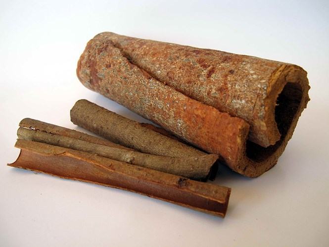 Quế  /// Ảnh: Đào Ngọc Thạch