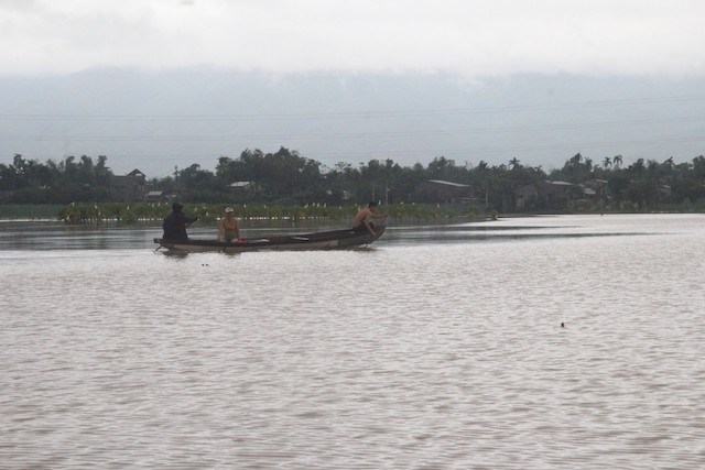 Người đàn ông bị điện giật tử vong khi đưa heo đi chạy lũ