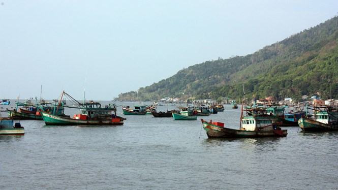 Đội tàu công suất nhỏ đánh bắt gần bờ làm cạn kiệt nguồn lợi thủy sản /// Ảnh: Anh Phương