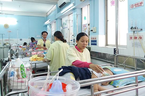 Nhiều dịch bệnh nguy cơ xâm nhập vào Việt Nam