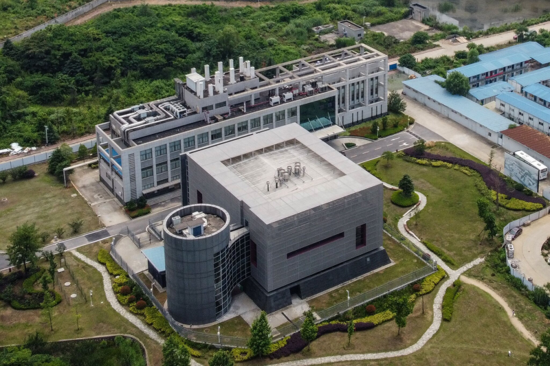 Nhà virus học tại Vũ Hán nói gì về giả thuyết Covid-19 từ phòng thí nghiệm? - ảnh 1