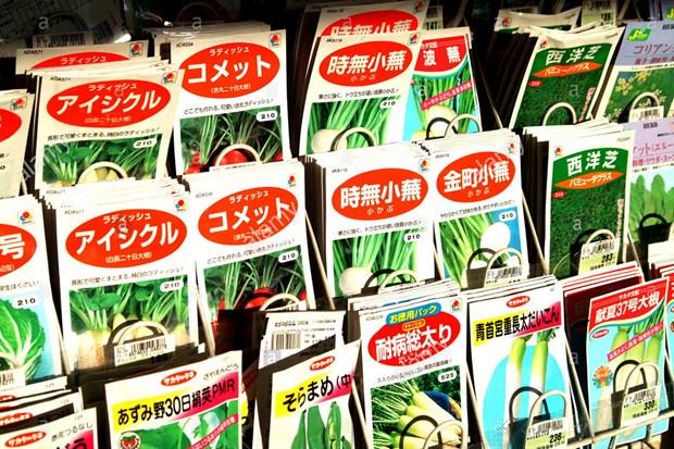 Nhat Ban cam mang ra nuoc ngoai hat giong cay trong, cay giong hinh anh 1