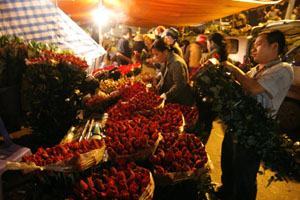 Nhật ký Tết ở thủ đô