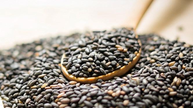 /// Ảnh: Shutterstock