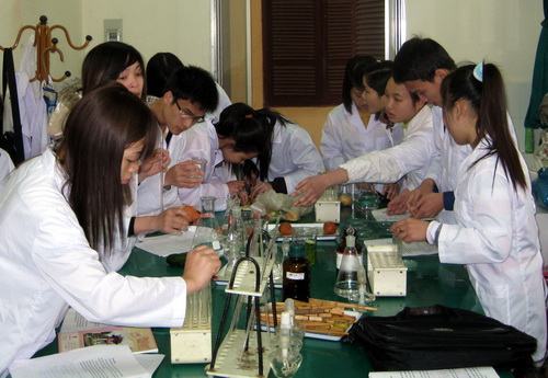 Nhiều thầy cô chưa mặn mà với NCKH