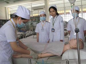 Nhóm ngành y dược “được mùa”