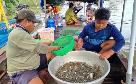 Gia đình ông Nguyễn Văn Mía (ấp Phú Nghĩa, xã Phú Hội, huyện An Phú) lênh đênh trên ghe hết mùa lũ 