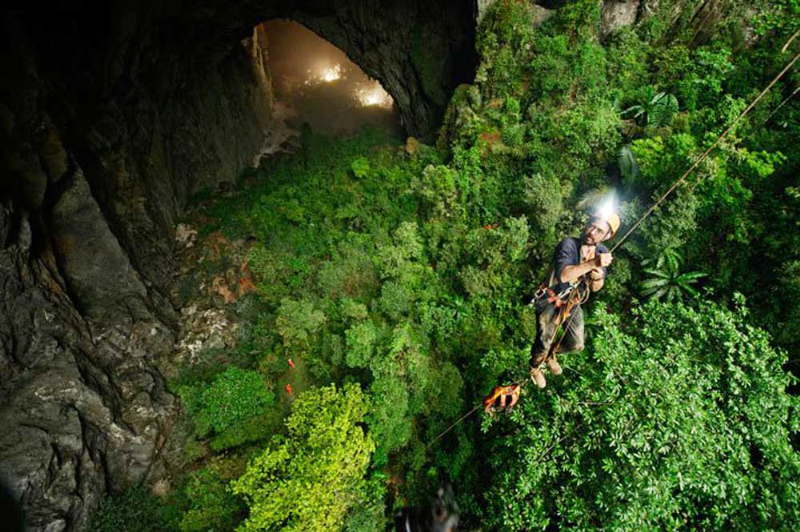 Trần hang có hai hố sụt lớn, giúp ánh sáng mặt trời và nước mưa lọt qua, tạo ra một khu rừng với hệ động thực vật độc đáo. 