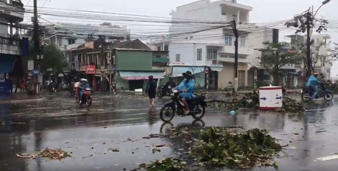 Trước tháp Bà Ponagar cây cối ngã đổ ra đường /// Ảnh: Thông Ngô