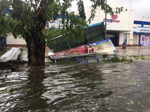 Những người con ở Sài Gòn hướng về mẹ cha quê nhà Nha Trang, Phú Yên - ảnh 6