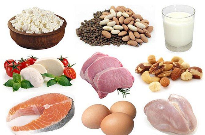 Protein giúp tăng nhiệt độ đáng kể