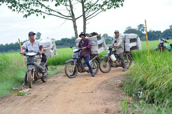 Những phù thủy thu gom bẫy chuột trở về.